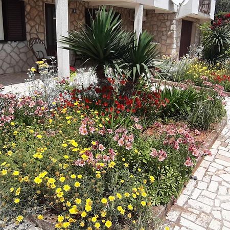Apartmani Ana Cres Exterior photo