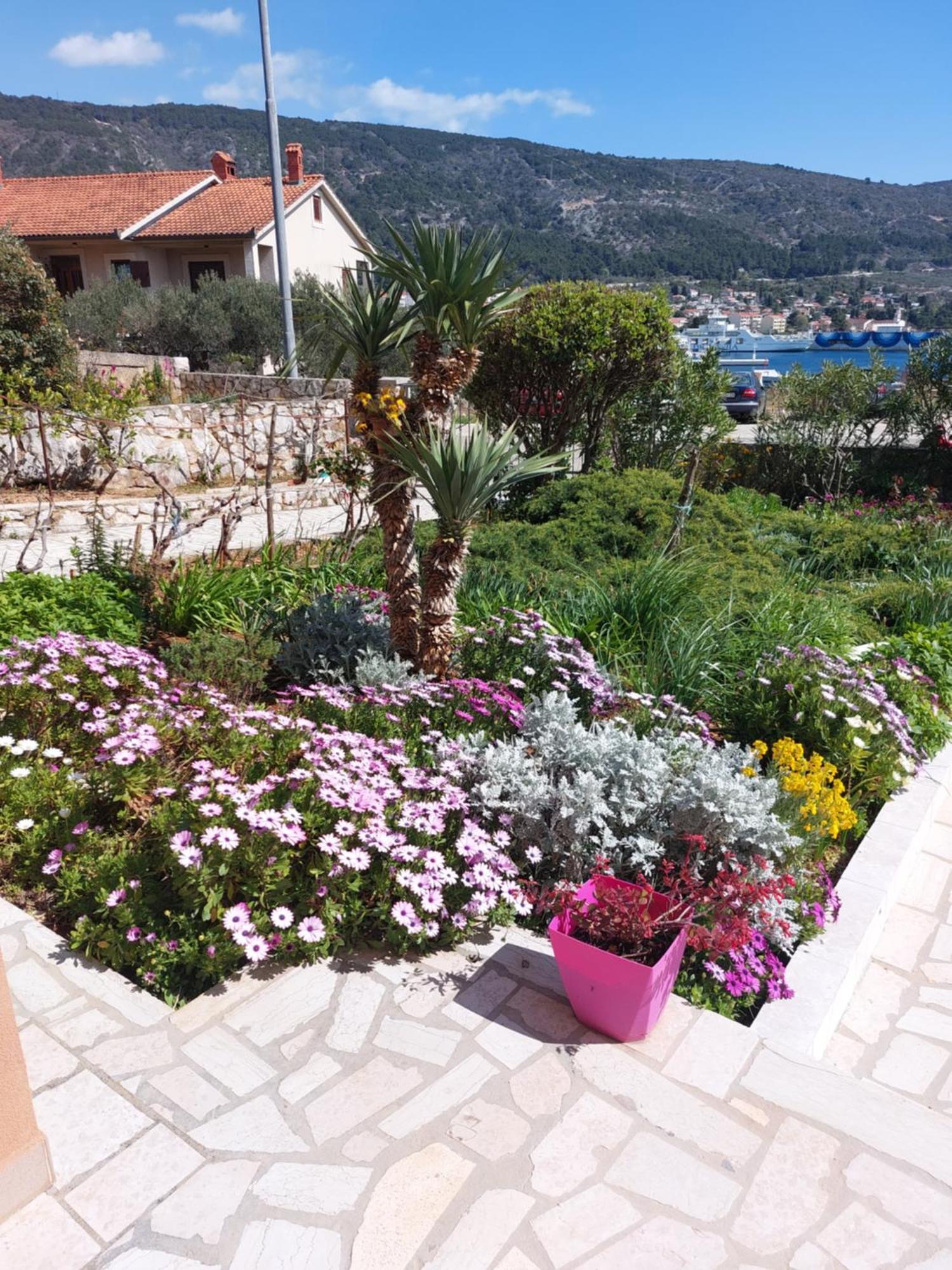 Apartmani Ana Cres Exterior photo